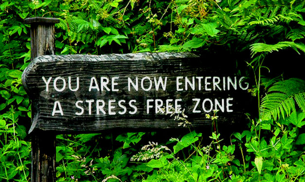 Quân bình giữa gắng sức và thư thả trong Yoga & đời sống