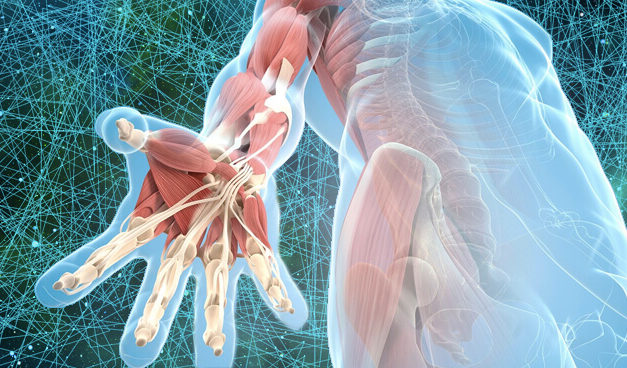 Mạc cơ giúp ta tháo gỡ những căng thẳng ẩn sâu trong cơ thể