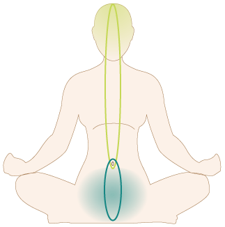 Tại Sao https//78win.yoga/ Là Một Lựa Chọn Hoàn Hảo Cho Sức Khỏe Và Lối Sống Của Bạn